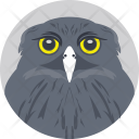 Owl Face Head Icon