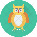 Owl Study Learning Icon