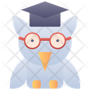 Owl Education Knowledge Icon