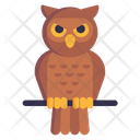 Night Bird Owl Strigiformes Icon