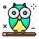 Owl Knowledge Icon