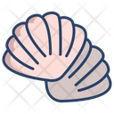 Oyster Shell Seafood Icon
