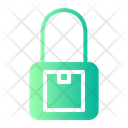 Padlock Package Parcel Security Parcel Protection Icon