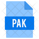 Pak file  Icon