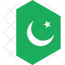 Pakistan Flag World Icon
