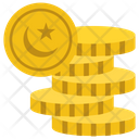 Pakistani Coins  Icon