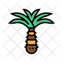 Palm Tree Color Icon
