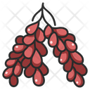 Fruit Vegan Palm Icon