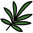 Palm Botanical Tropical Icon