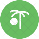 Palm Tree Date Icon