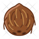 Palm Fruit Coconut Icon
