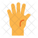 Palm Hand Icon