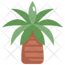 Palm Tree Nature Icon
