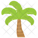 Palm Tree Icon