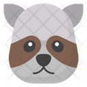 Panda Panda Head Emoji Icon