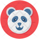 Panda Animal Panda Face Icon