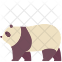 Zoo Animal Panda Icon
