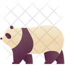 Panda Bear Icon