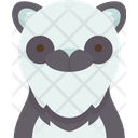 Panda Face Icon