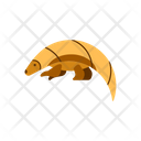 Pangolin Unique Animal Icon