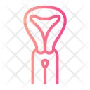Pap Smear Icon