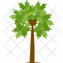 Papaya Tree Fruit Tree Wild Tree Icon