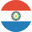 Paraguay Flag Country Icon