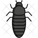 Parasita Ícone