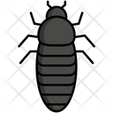 Parasite Icon