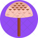 Mushrooms Parasol Mushroom Mushroom Icon
