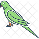 Parrot Lovebird Pet Icon