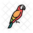 Parrot Tropical Bird Icon