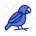 Cockatiel Cockatoo Macaw Icon
