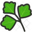 Parsley Herb Cilantro Icon
