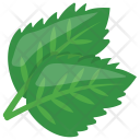 Parsley Leaves Green Icon