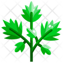 Parsley Parsley Leaf Vegetable Icon