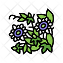 Passiflora Icon
