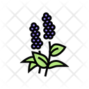 Patchouli Flowers Aromatherapy Icon