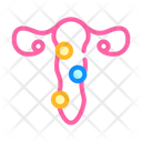 Pathology Cervix Color Icon