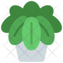 Pathos Plant Icon