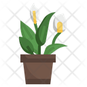 Peace Lily Flower Plant Icon