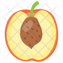 Peach Cultivated Ripe Icon