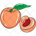 Peach Fruit Apricot Icon