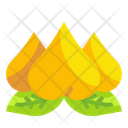 Peach Fruit Celebration Icon