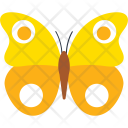 Peacock Pansy Insect Icon