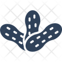 Peanut  Icon