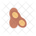 Peanut Dryfruit Food Icon