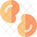 Cashew Nut Food Icon