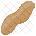 Peanut Nut Raw Peanut Icon
