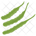 Peas Vegetable Legume Icon